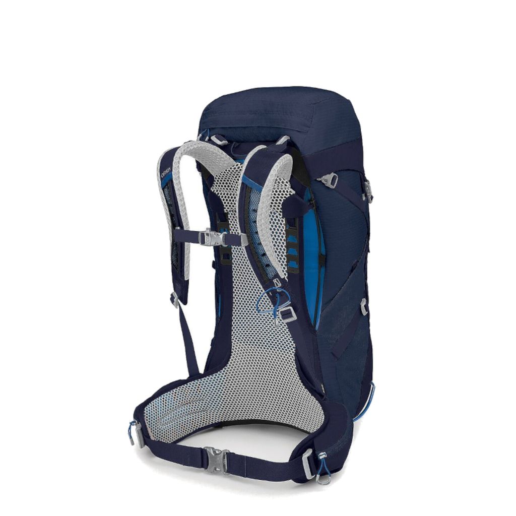 stratos-36-cetacean-blue-1